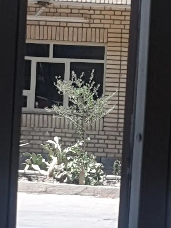 اجاره مغازه