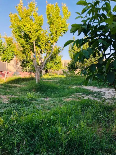 باغچه دهشاد پائین
