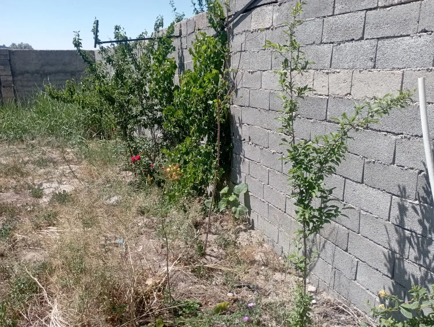 چهار دیواری آقتپه دوم غربی