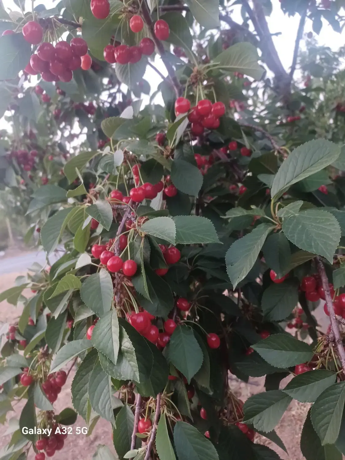 باغشهر ساوالان ۲۳۰۰ متر کاملا آباد