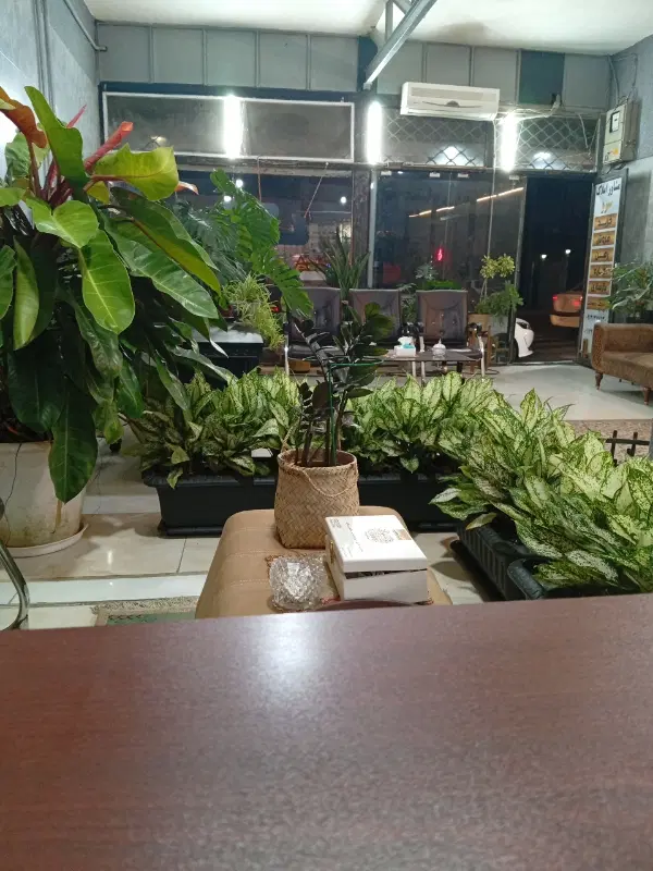 اجاره ۶۸متری پیکانشهر