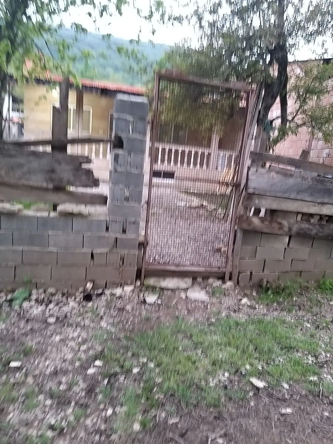 فروش زمین هزار جریب نکا