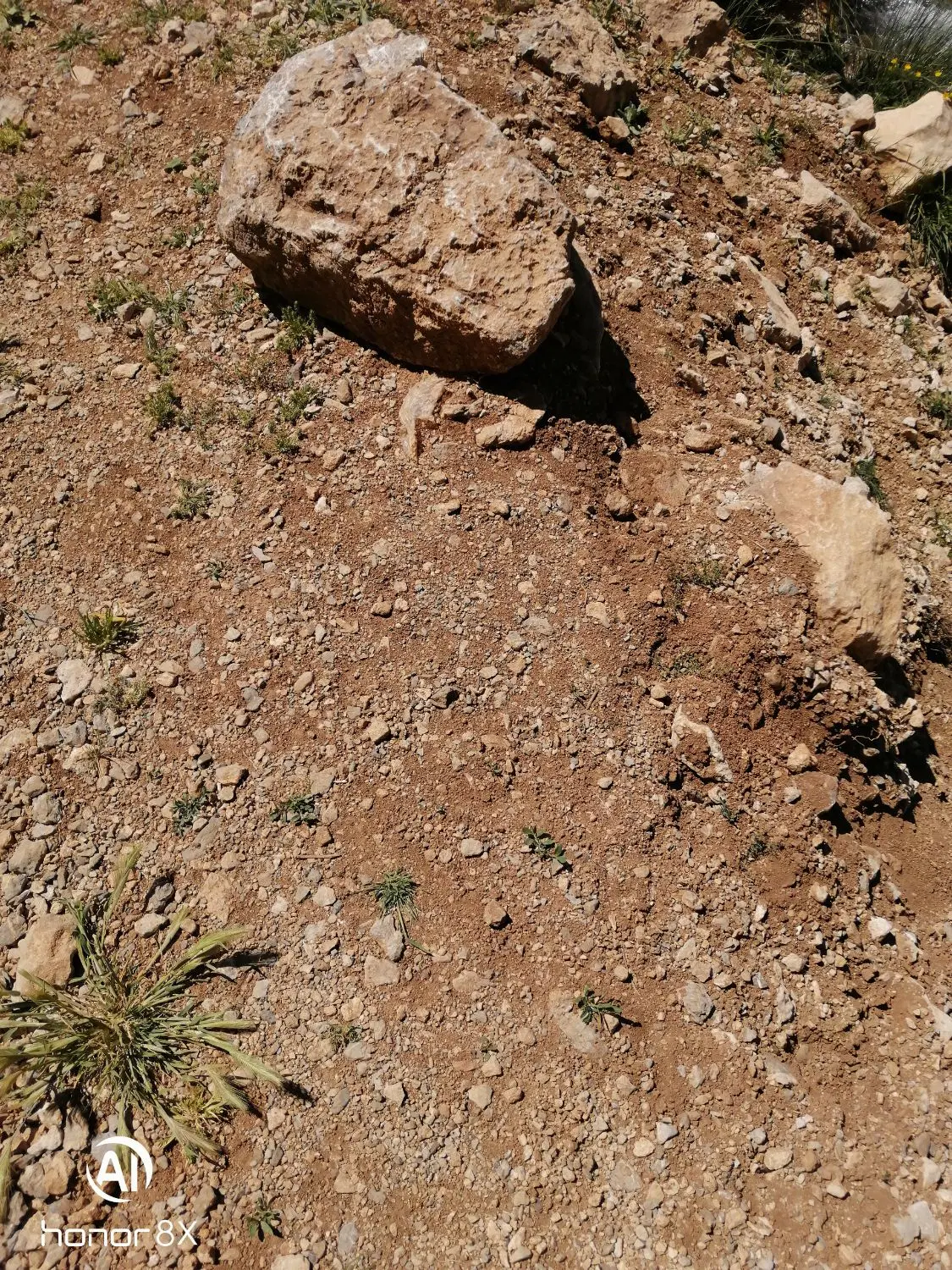 زمین کوره ها