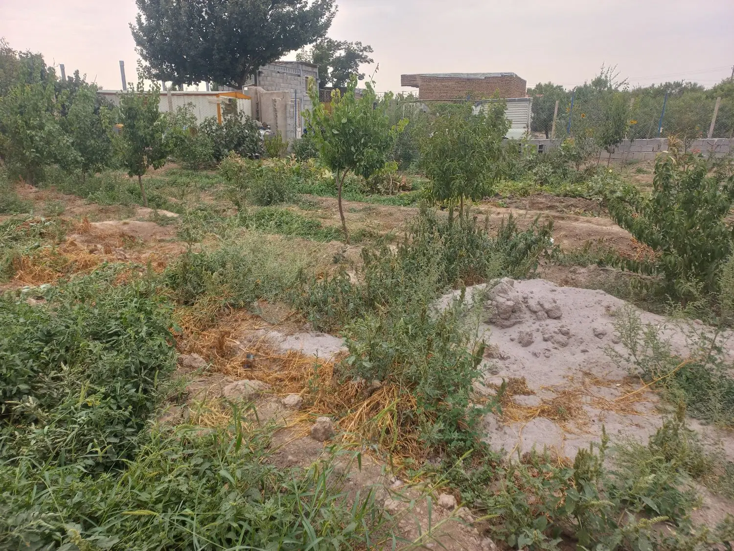 فروش باغ در قراملک