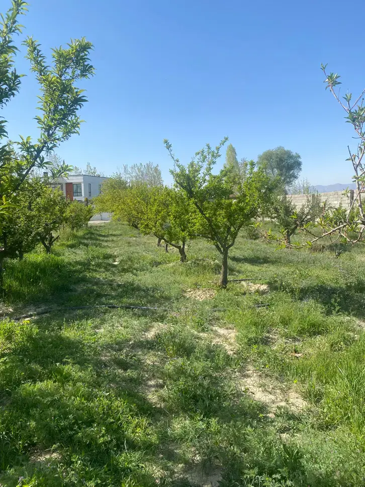 تهراندشت ۹۸۰متر دارای  مجوز ساخت و سند تکبرگ