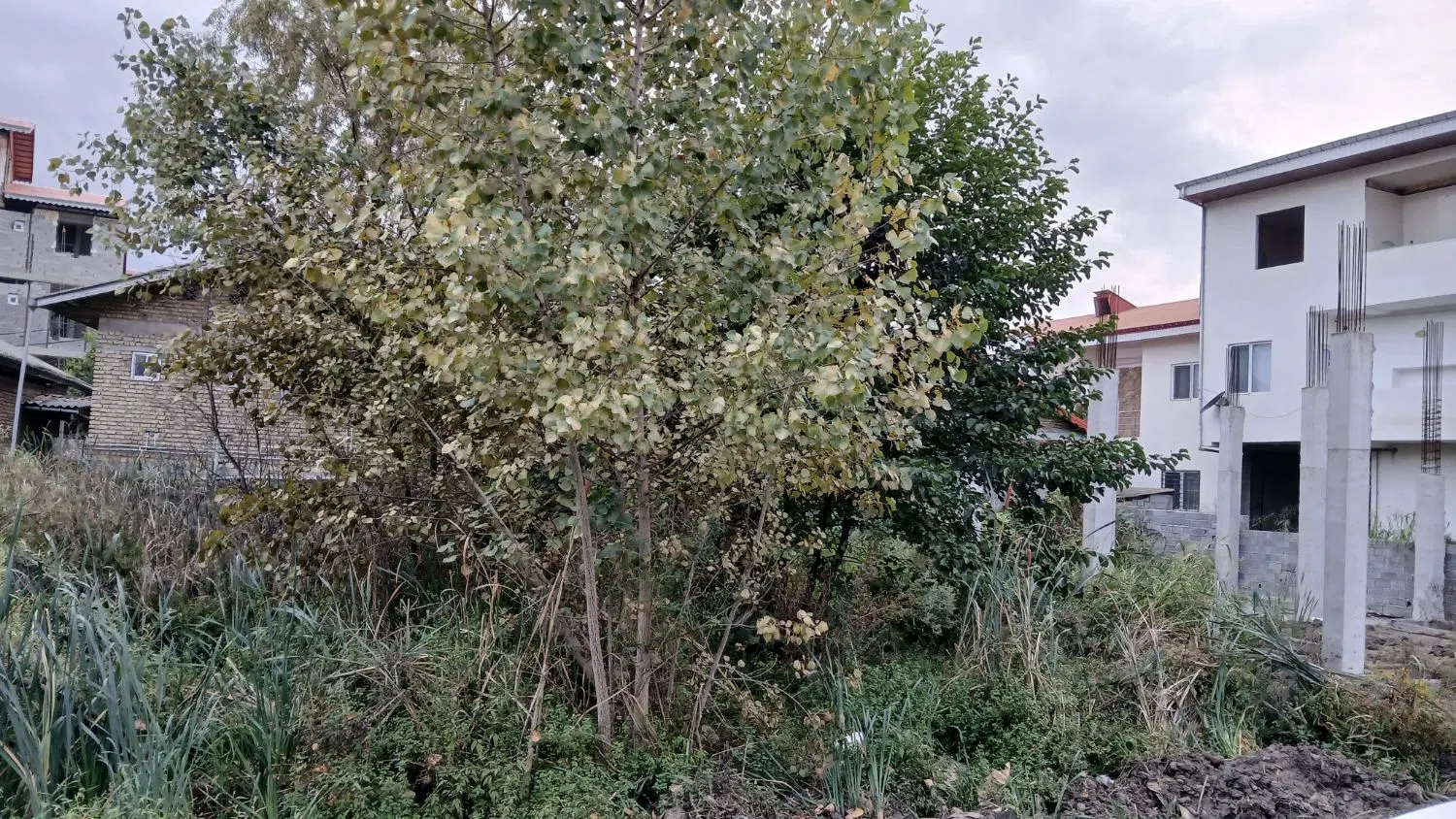 زمین شهری