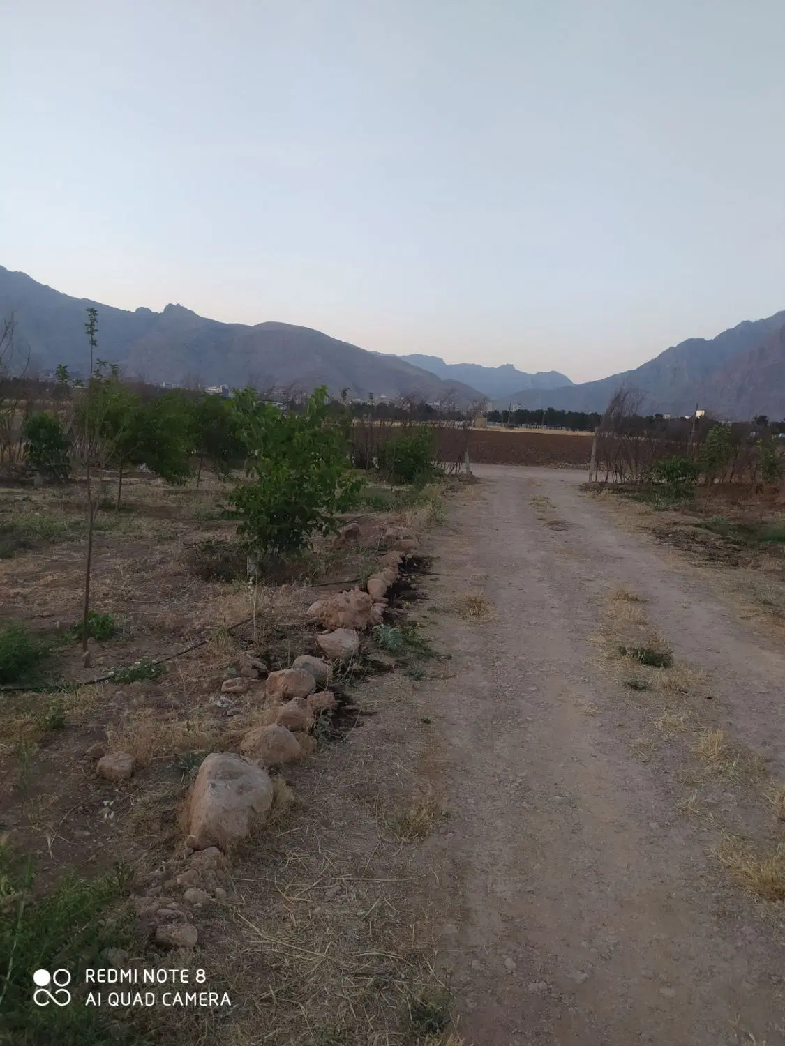 باغ پشت ترمینال شهید کاویانی
