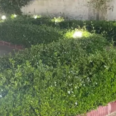فروش زمین ۳۰۰ متری گورک سرتل
