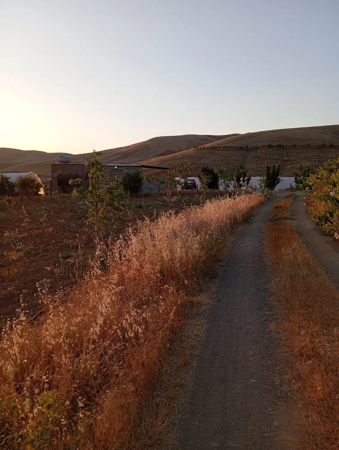 فروش و معاوضه زمین روستای خلیچیان