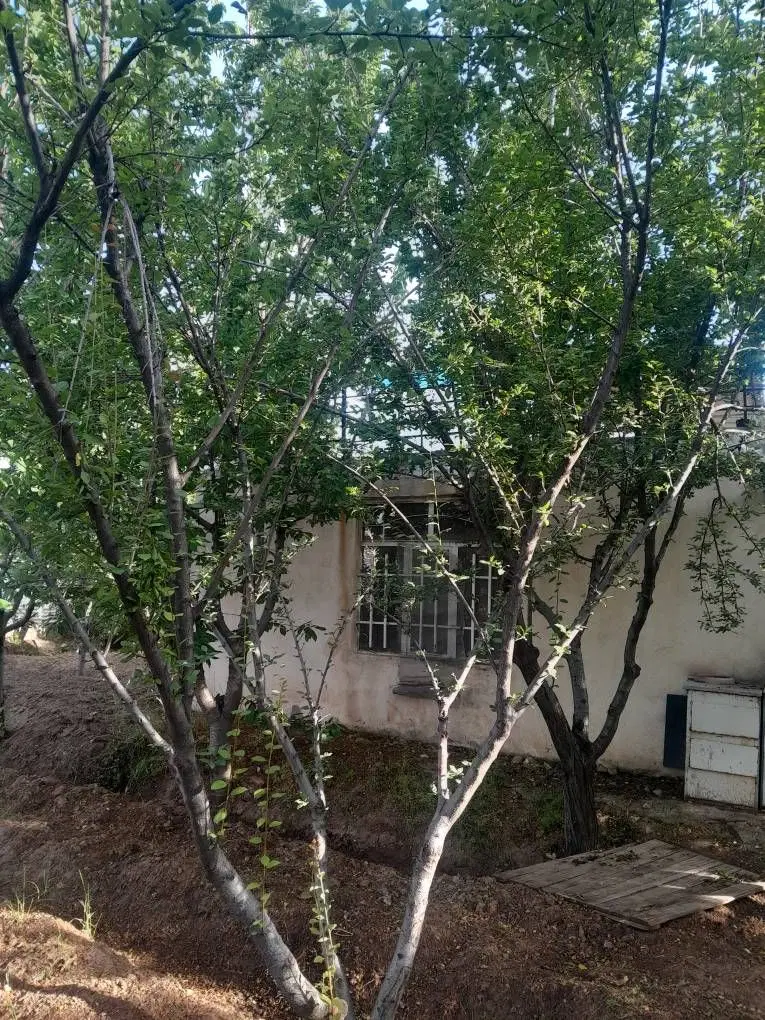 خونه باغ فروشی نزدیک غریب کش