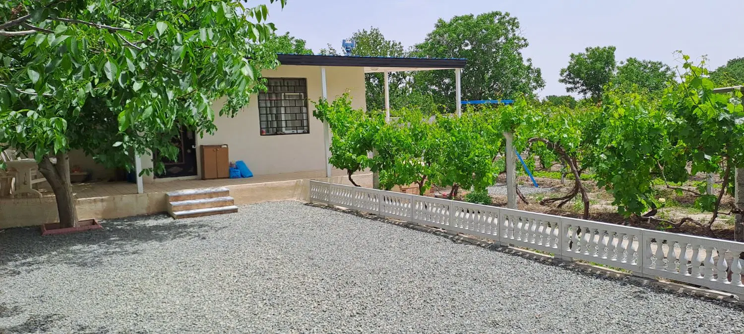 یک قطعه باغ به مساحت 1000 متر