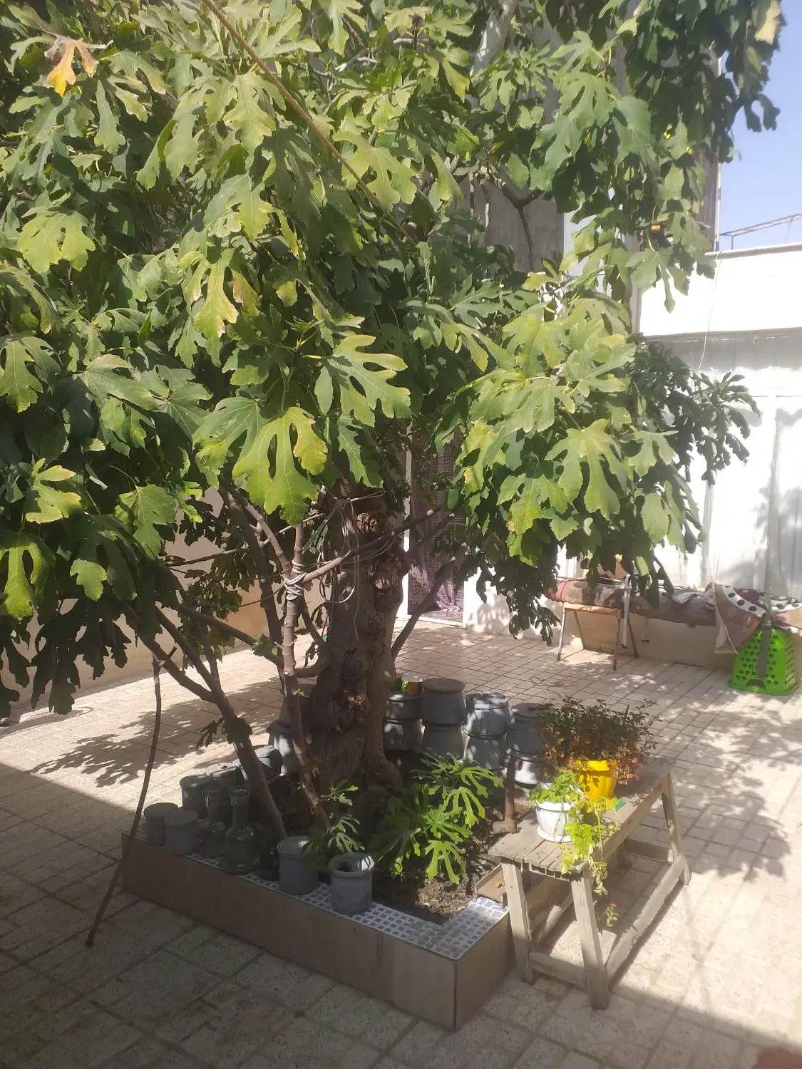 منزل ویلایی. ۱۱۵ متر . بلوار شهید شیرودی