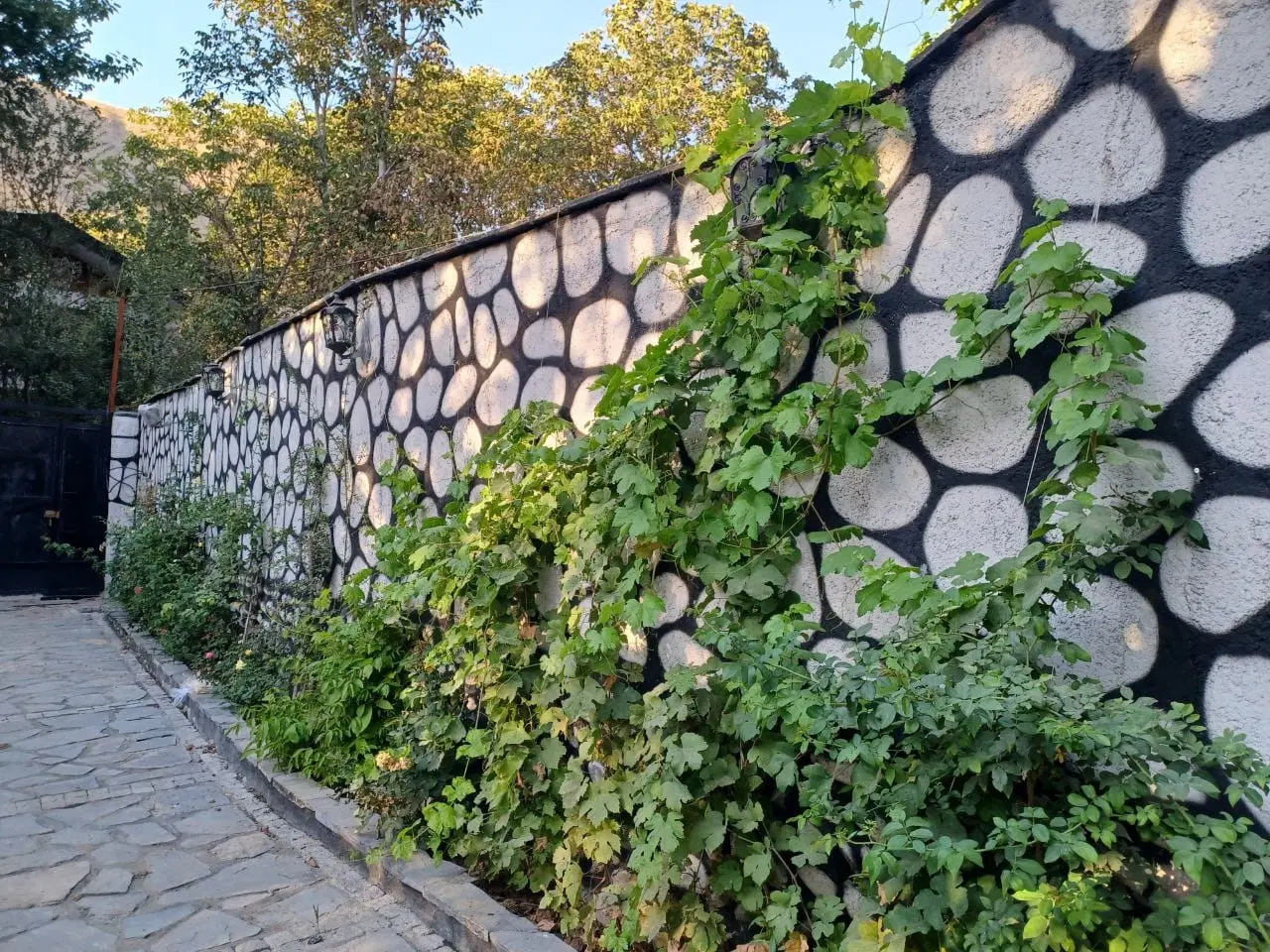 تهاتر باغ ۵هکتاری پسته با ملک در کرج و تهران