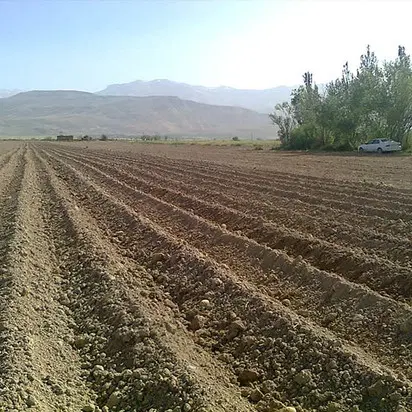 فروش زمین کاربری گاوداری و زراعتی