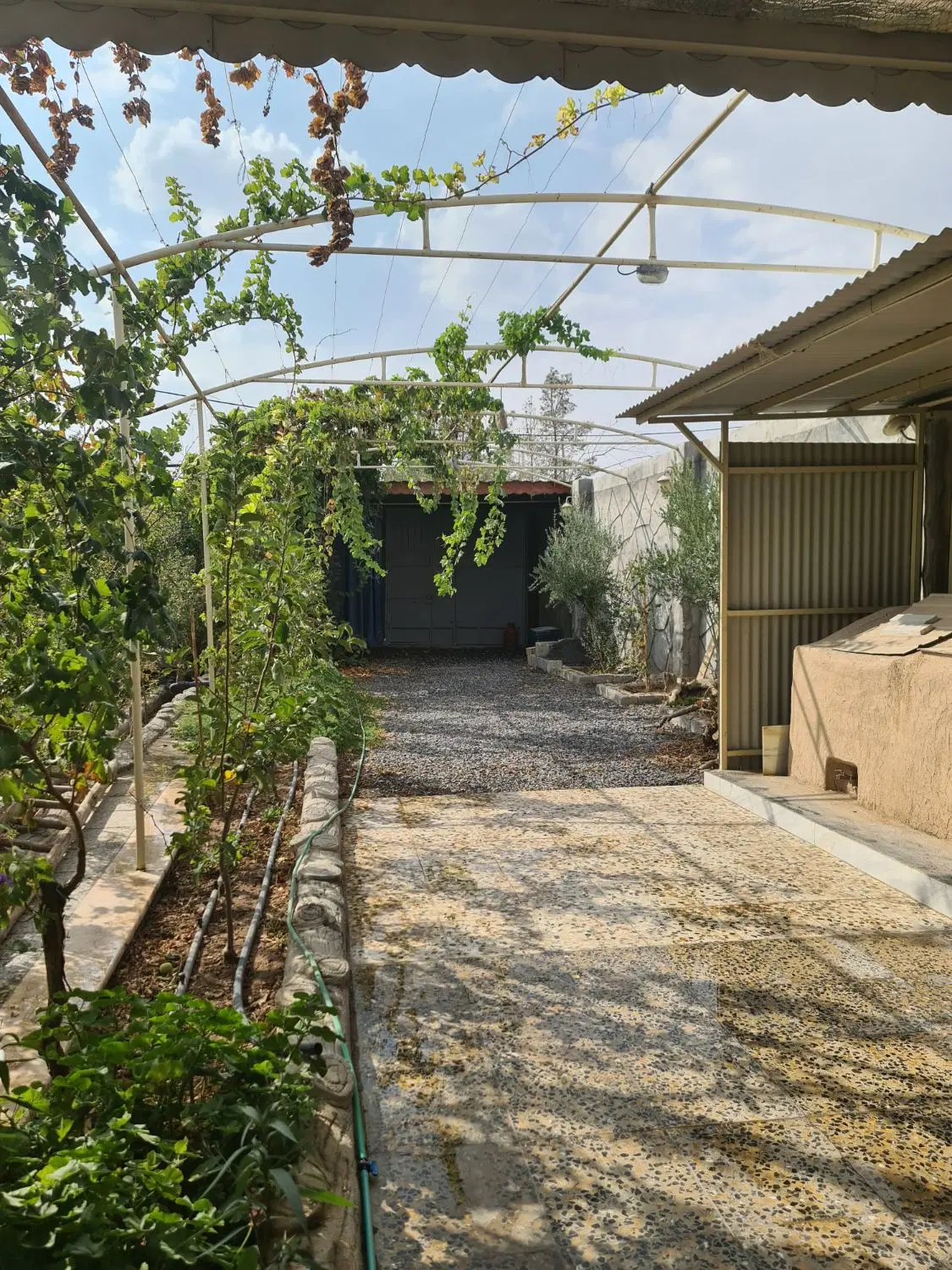 باغ ویلا نجف آباد (حاجی آباد)