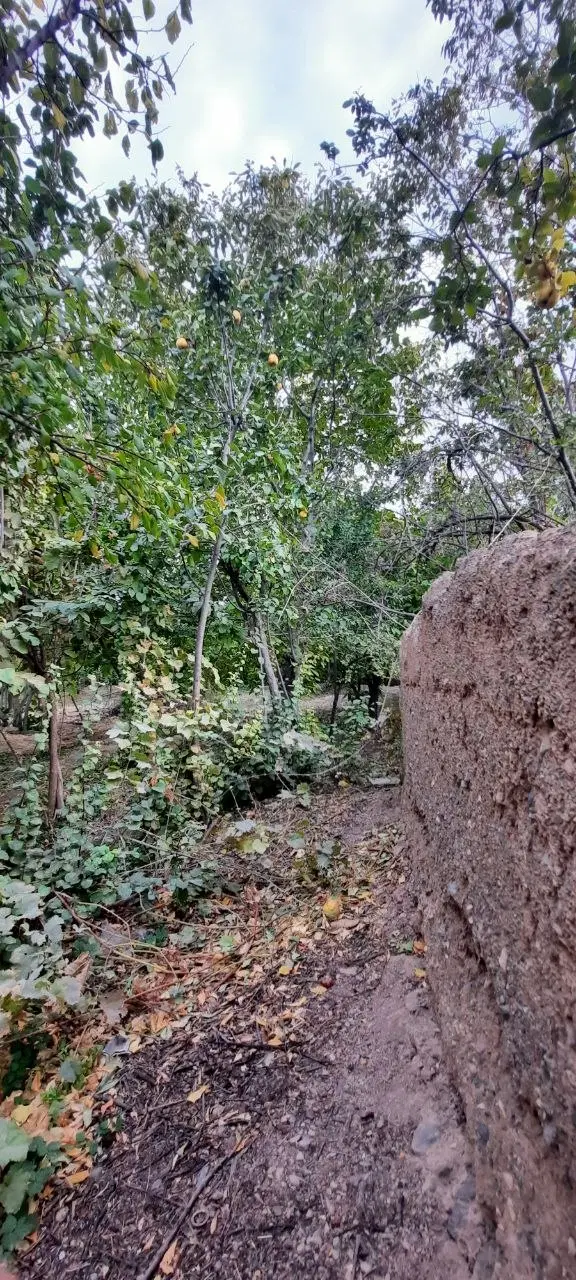 باغ با مجوز ساخت(توضیحات مطالعه شود)