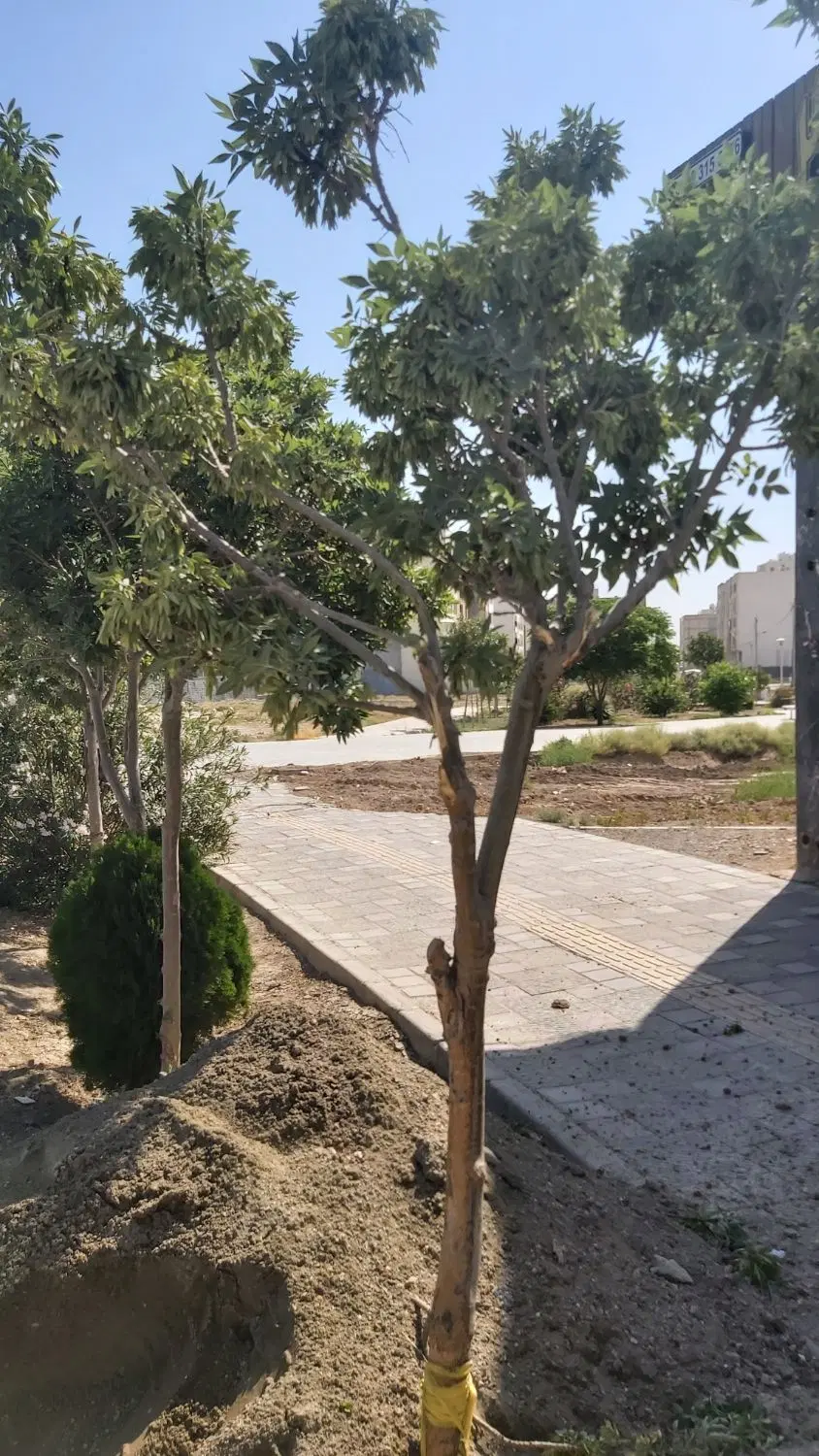 مغازه لوکس فلکه حج