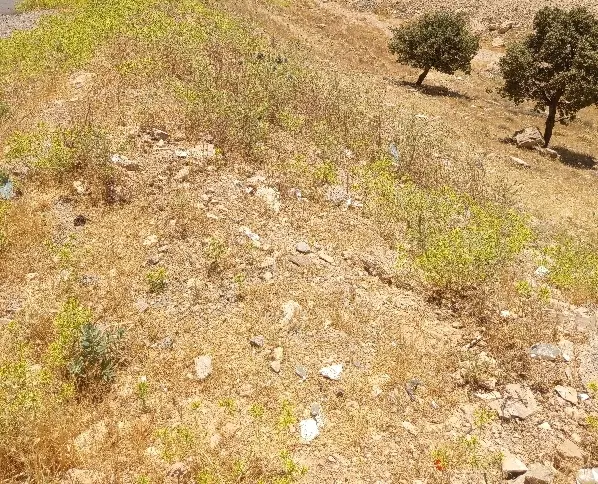 زمین دهکده المپیک