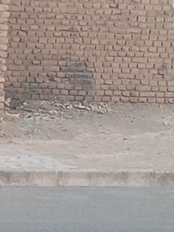 ملک