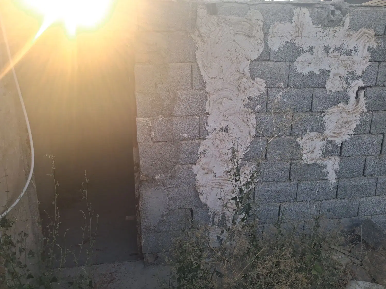 زمین سهیله حاج نجف