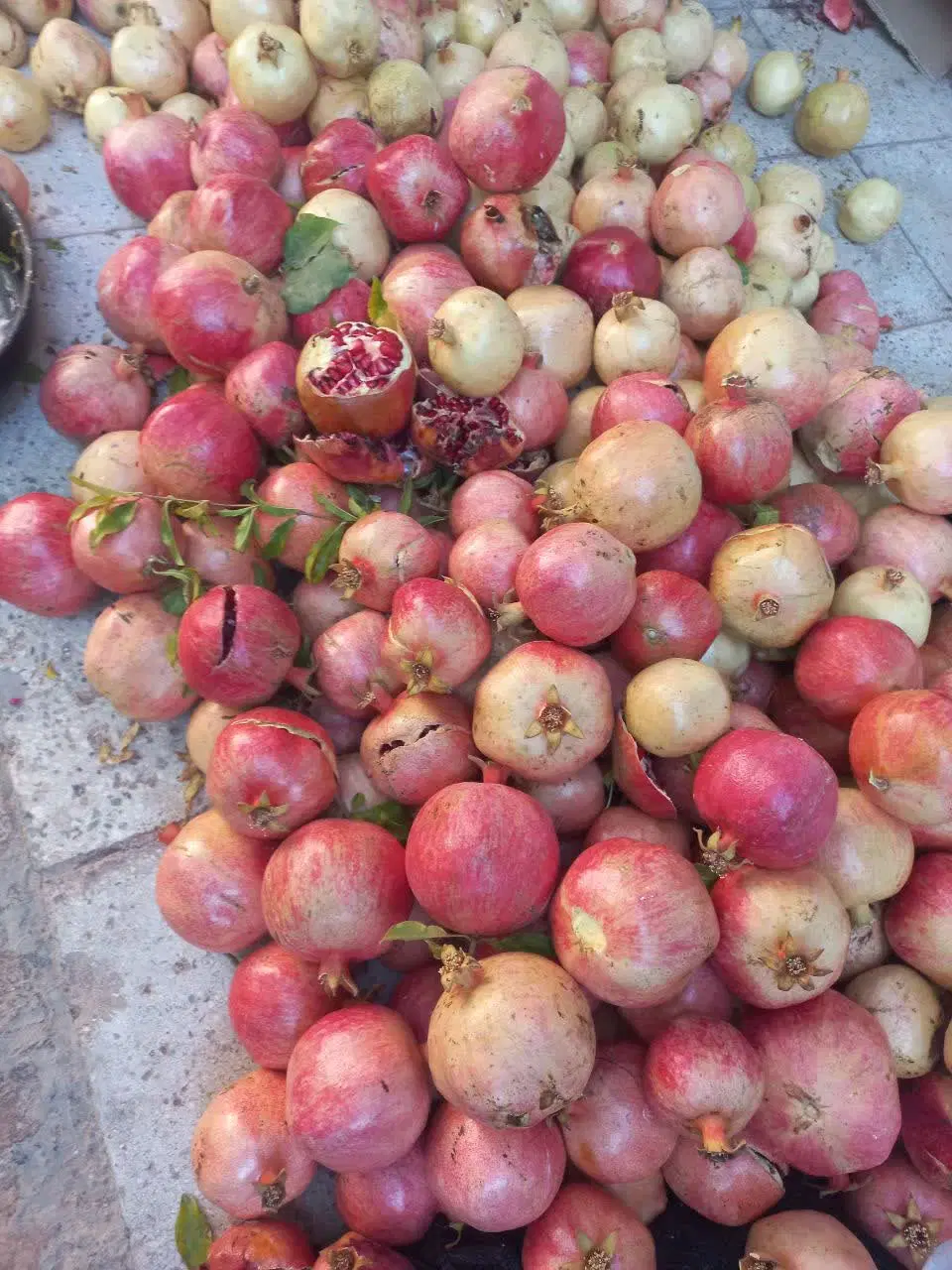 ویلا باغ در روستای علی آباد نیزار