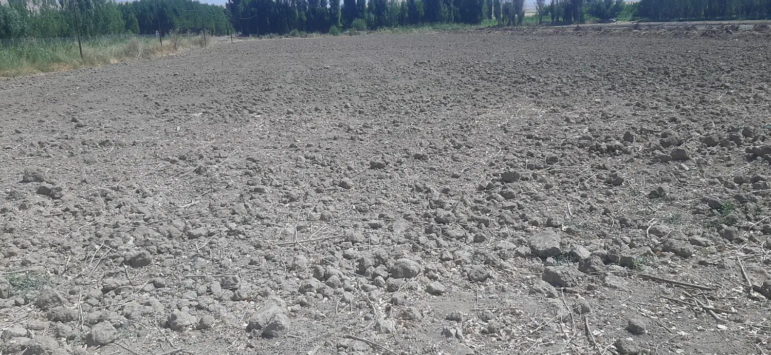 زمین کشاورزی اجاره ای