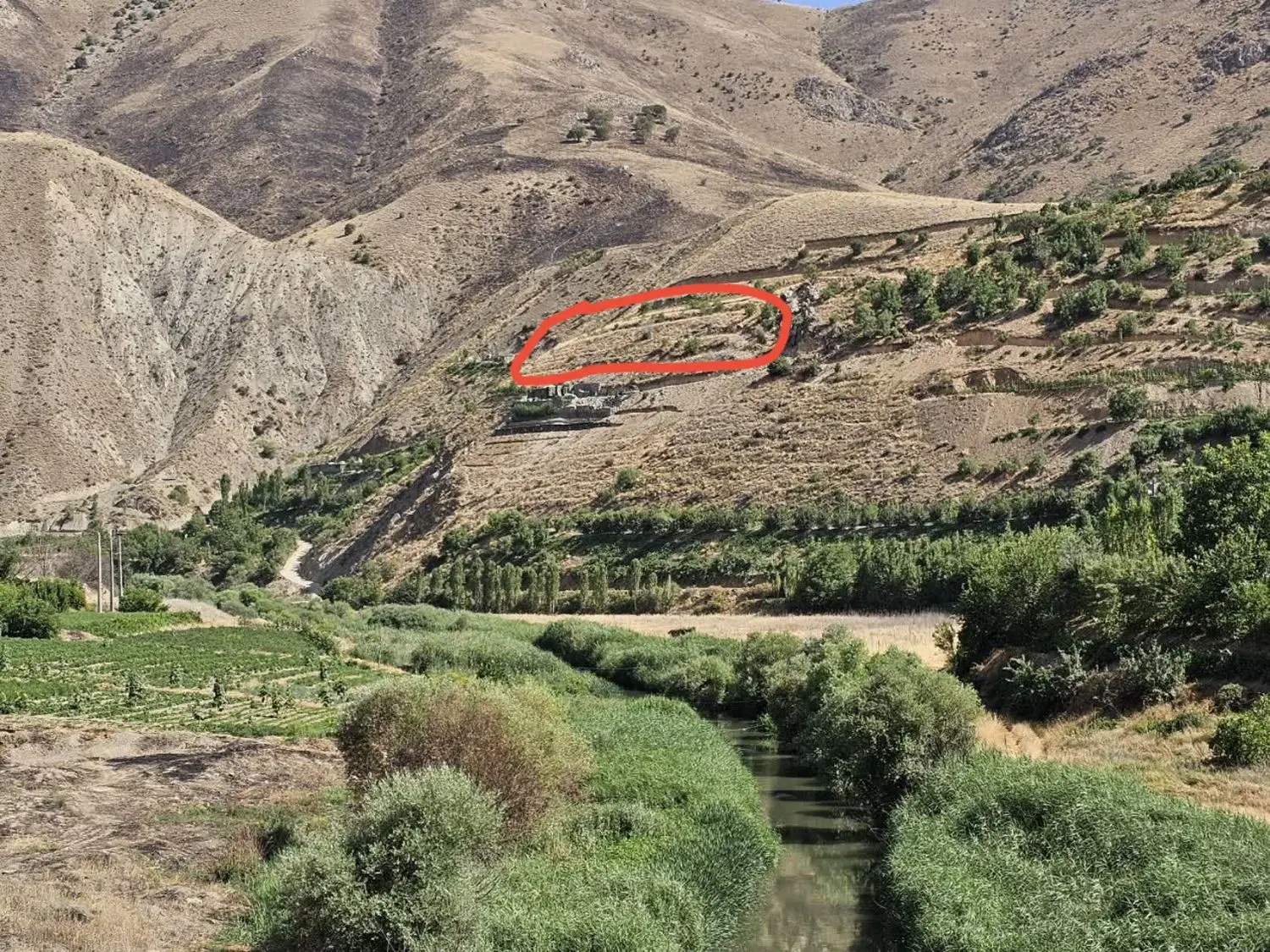 فروش زمین کشاورزی