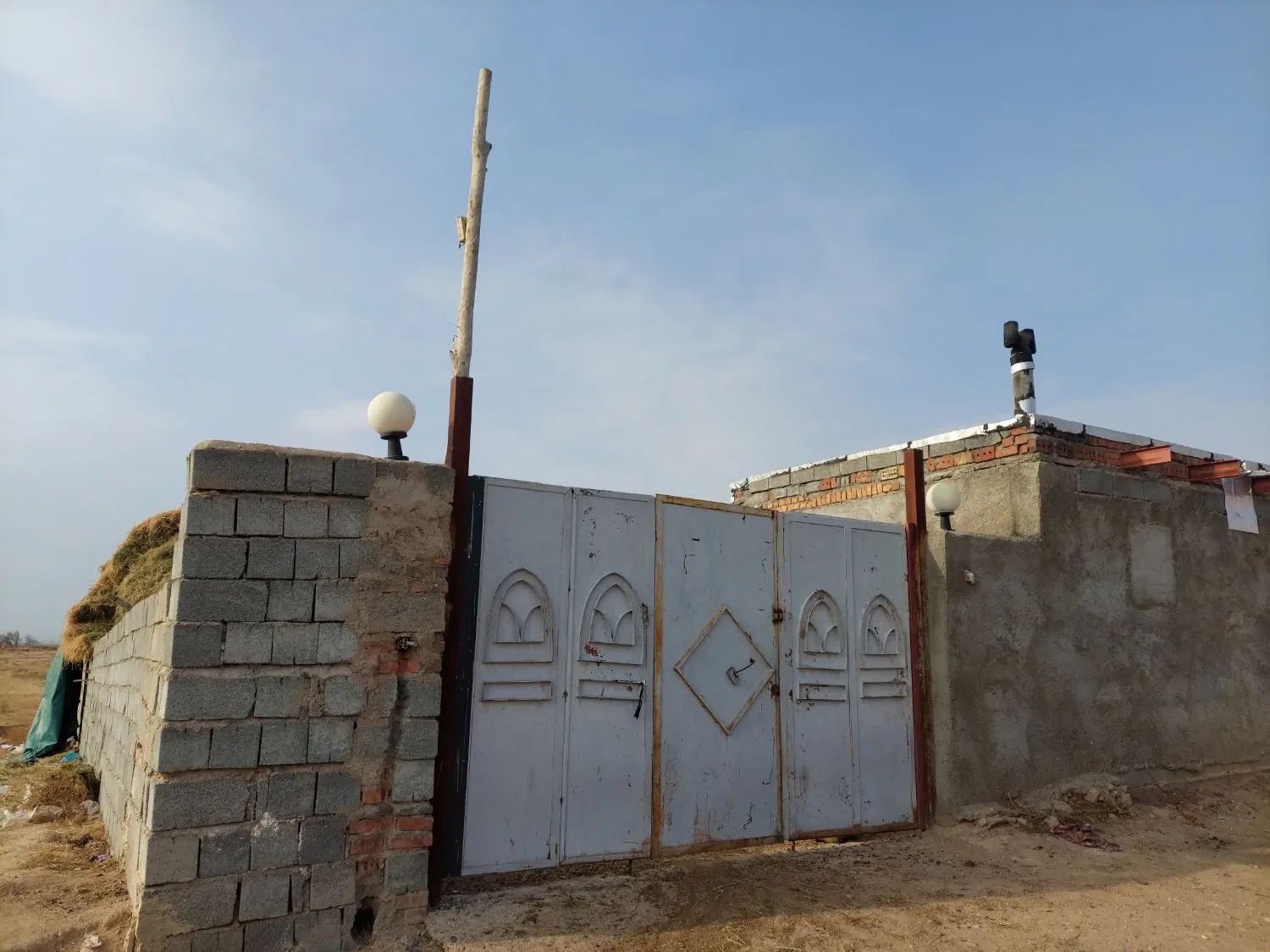 دامداری