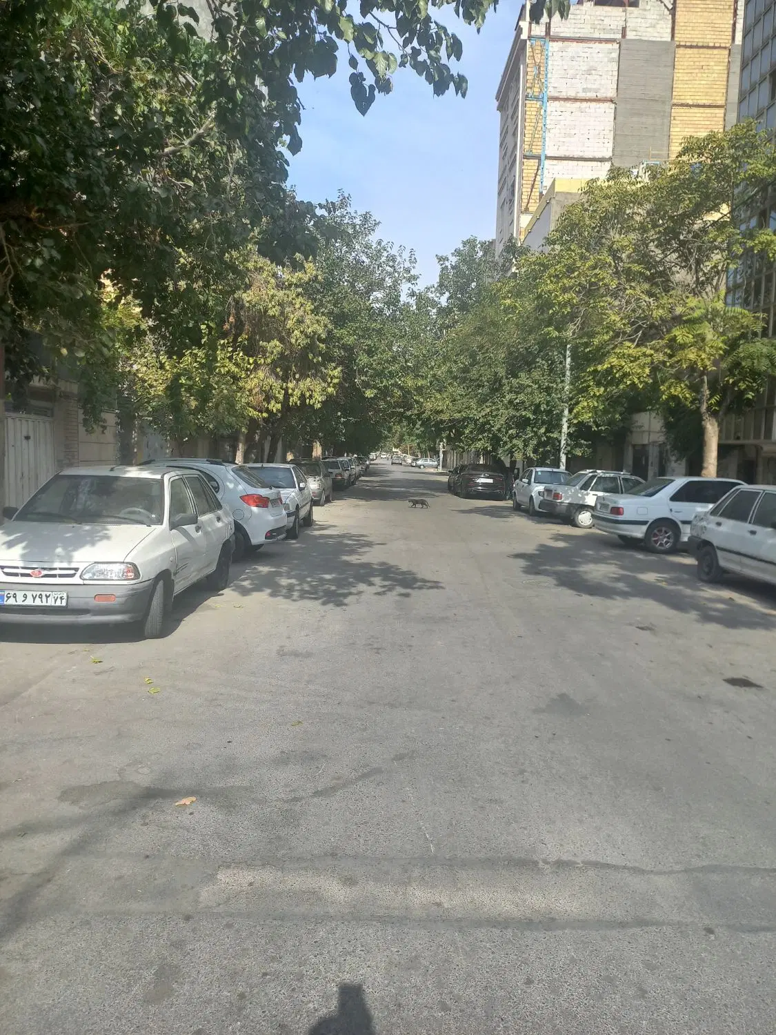 آپارتمان