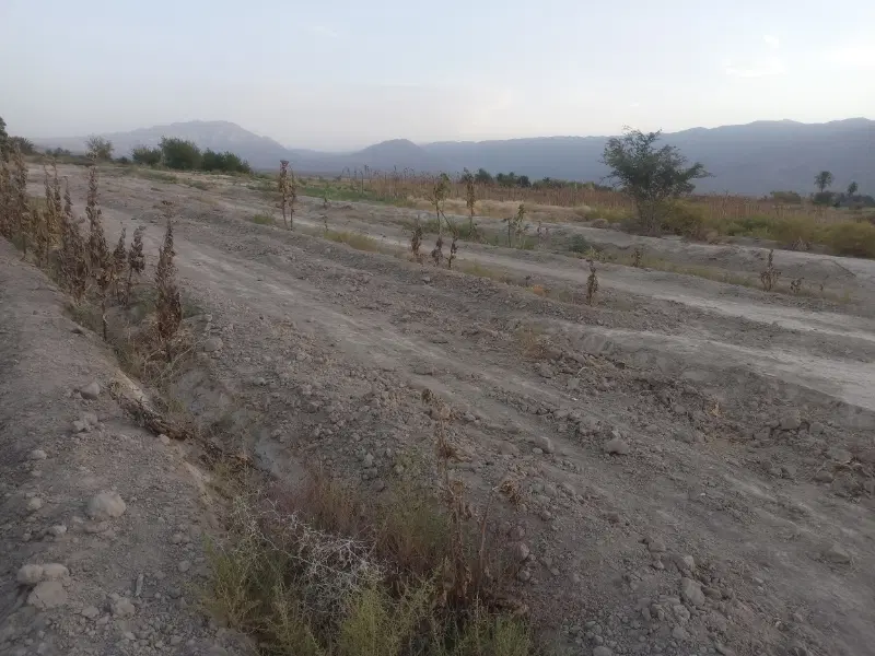 دو زمین در چهافرسخ شهداد