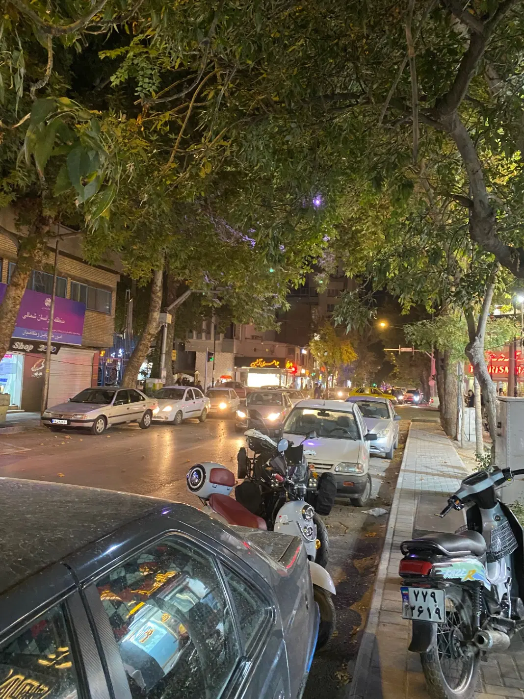 زمین شهرک فرهنگیان