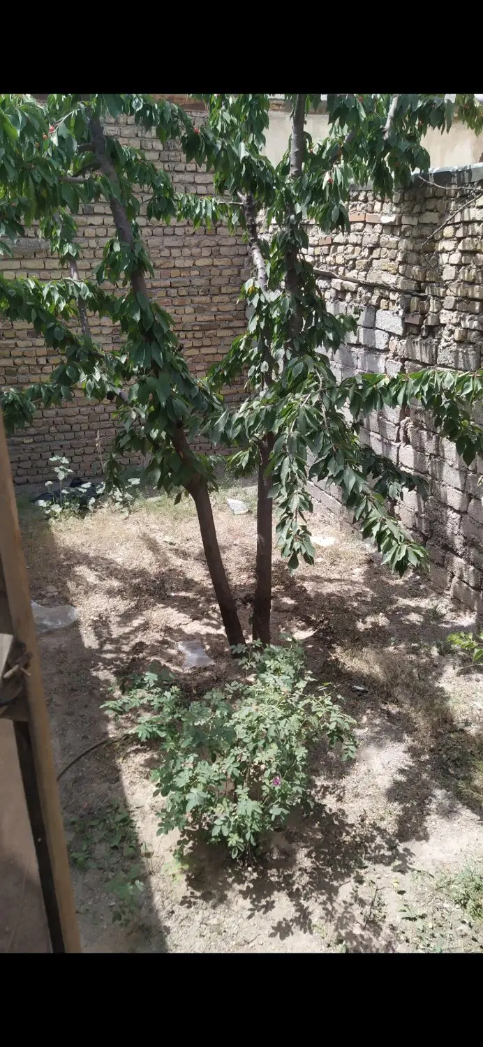 فروش سه دانگ مسکونی الهیه