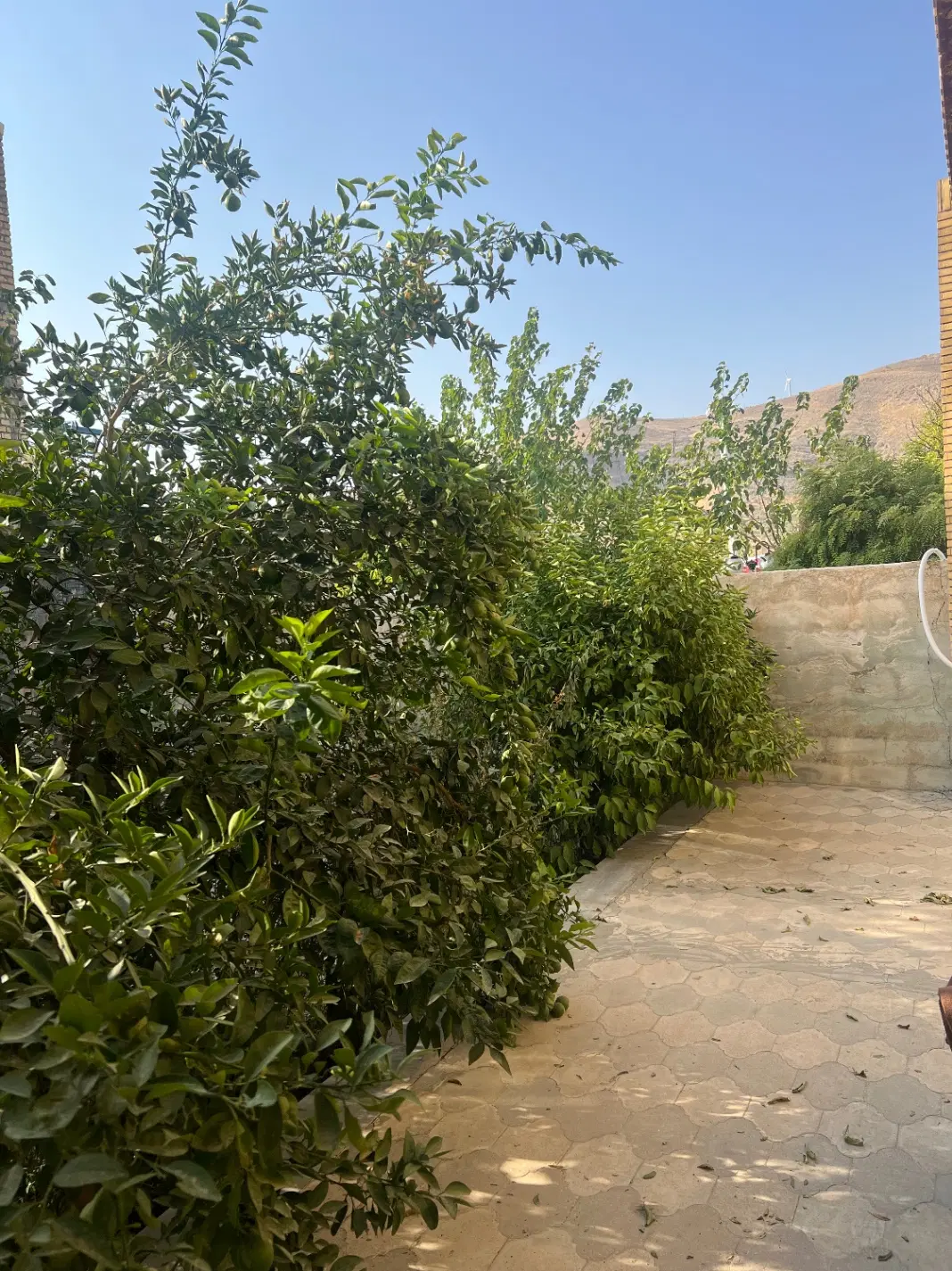 خانه باغ ۱۵۰۰ متر