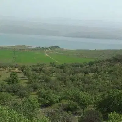 زمین مسکونی