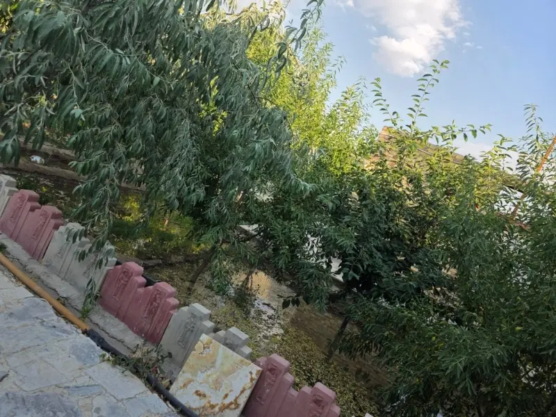 باغ ویلایی با کاربری مسکونی در قاضیجهان آذرشهر