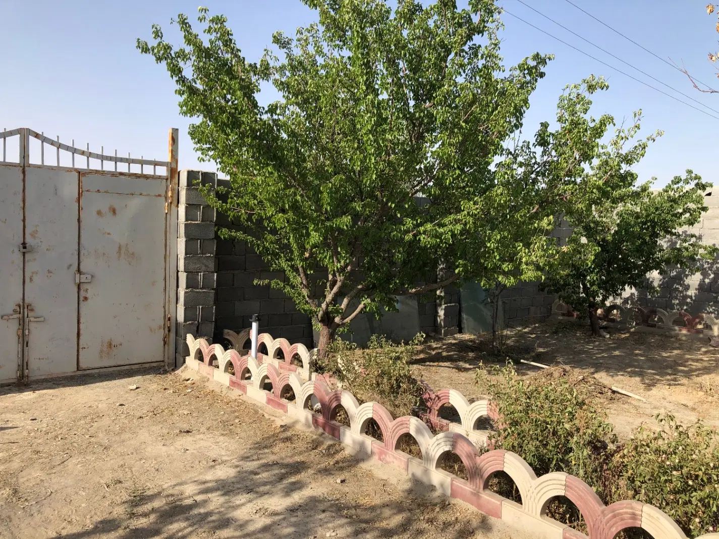 باغ برکان