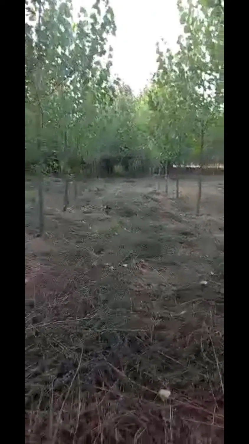 زمین مناسب ویلا سازی