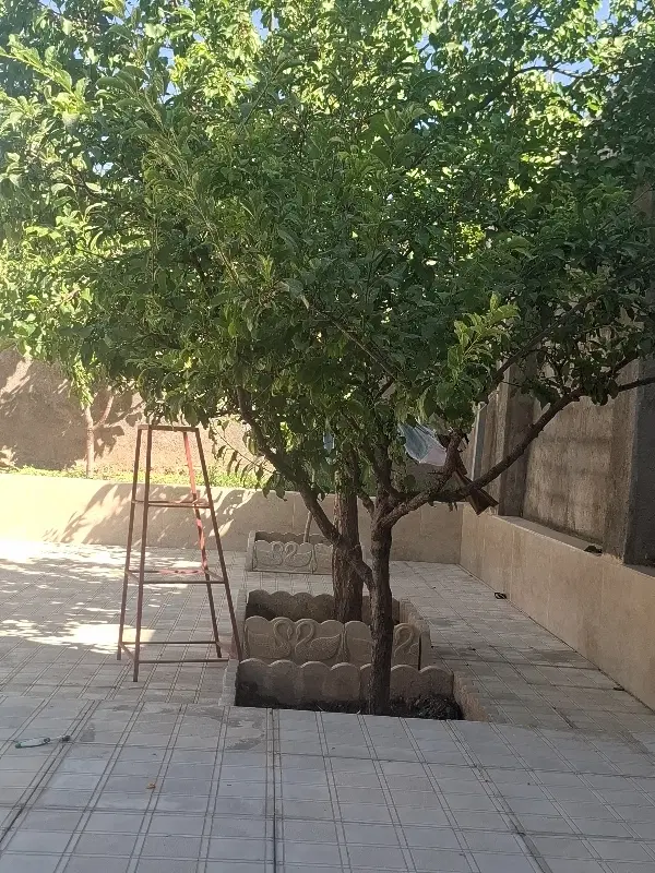زمین مسکونی محله هنر
