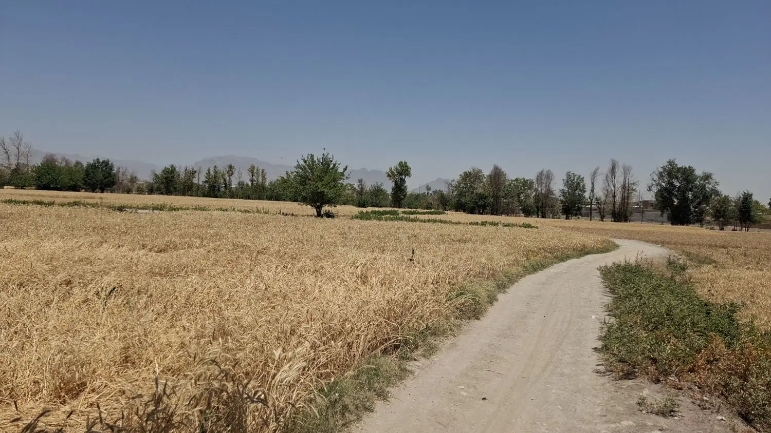 فروش زمین کشاورزی خوش جا