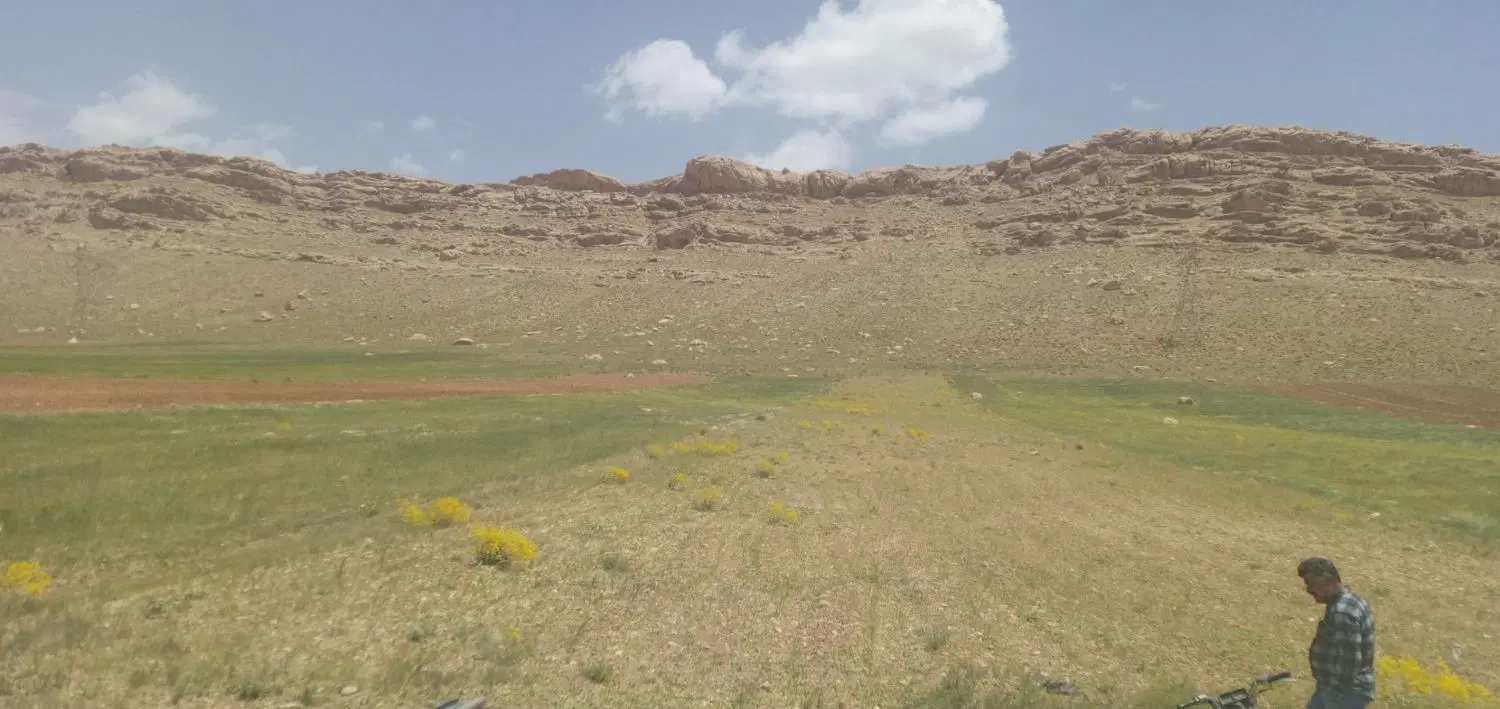 زمین کشاورزی دیمی کنار امامزاده حمزه علی