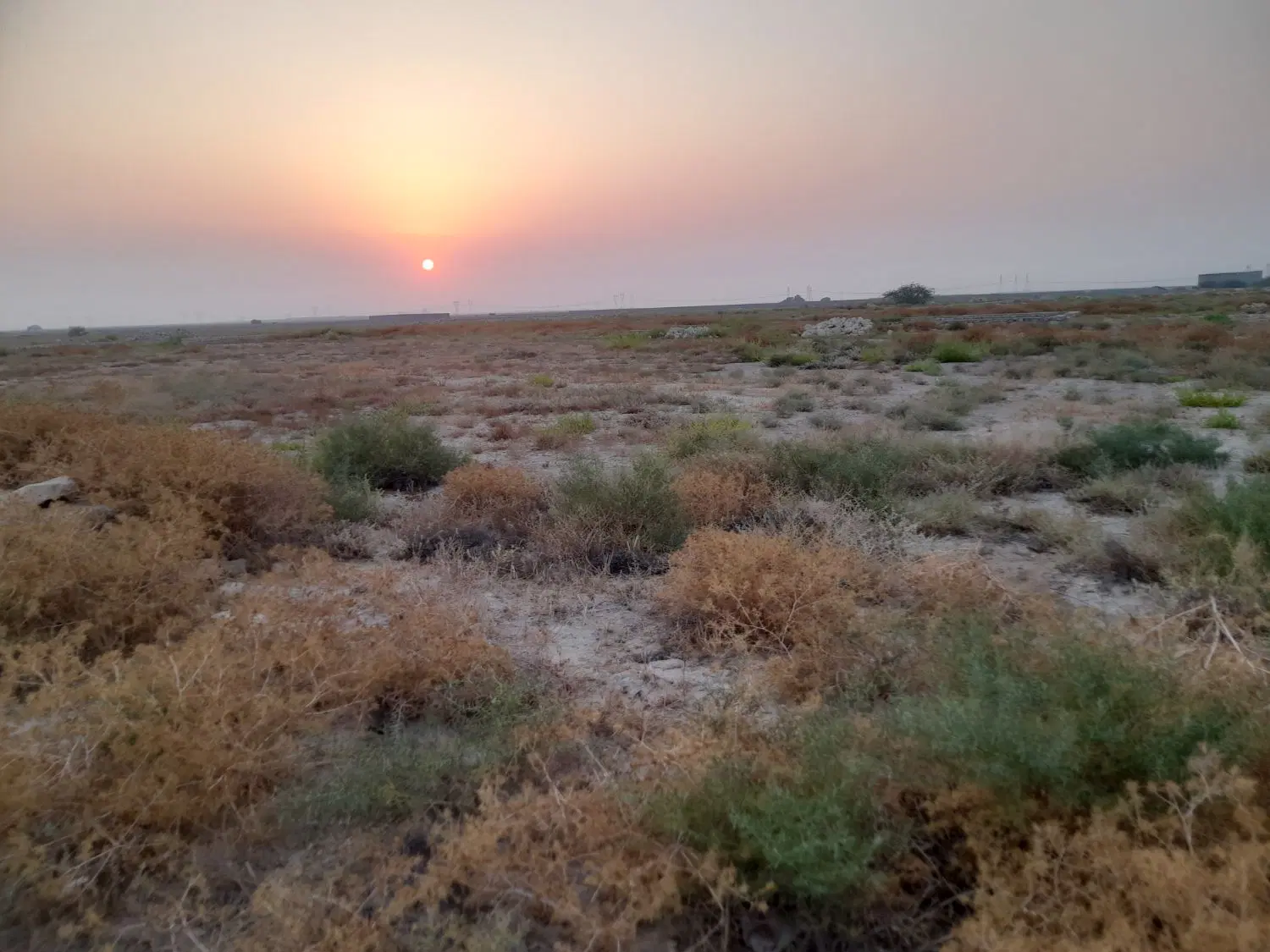 زمین گورک دژگاه