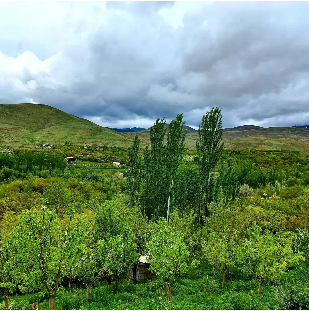 فروش باغ ، روستای چراغلو، توابع صوفیان شبستر