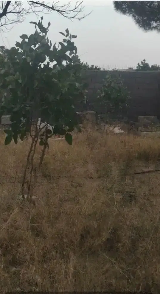 زمین باغ زراعی
