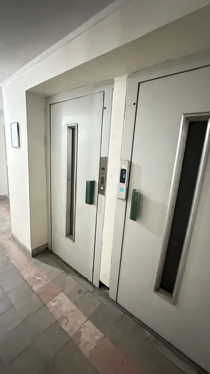 همخونه خانم