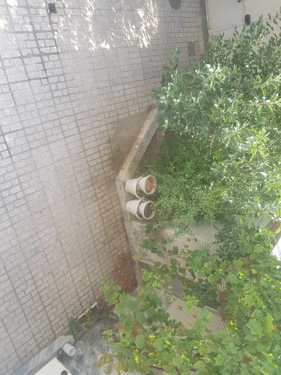 آپارتمان دو خواب همکف