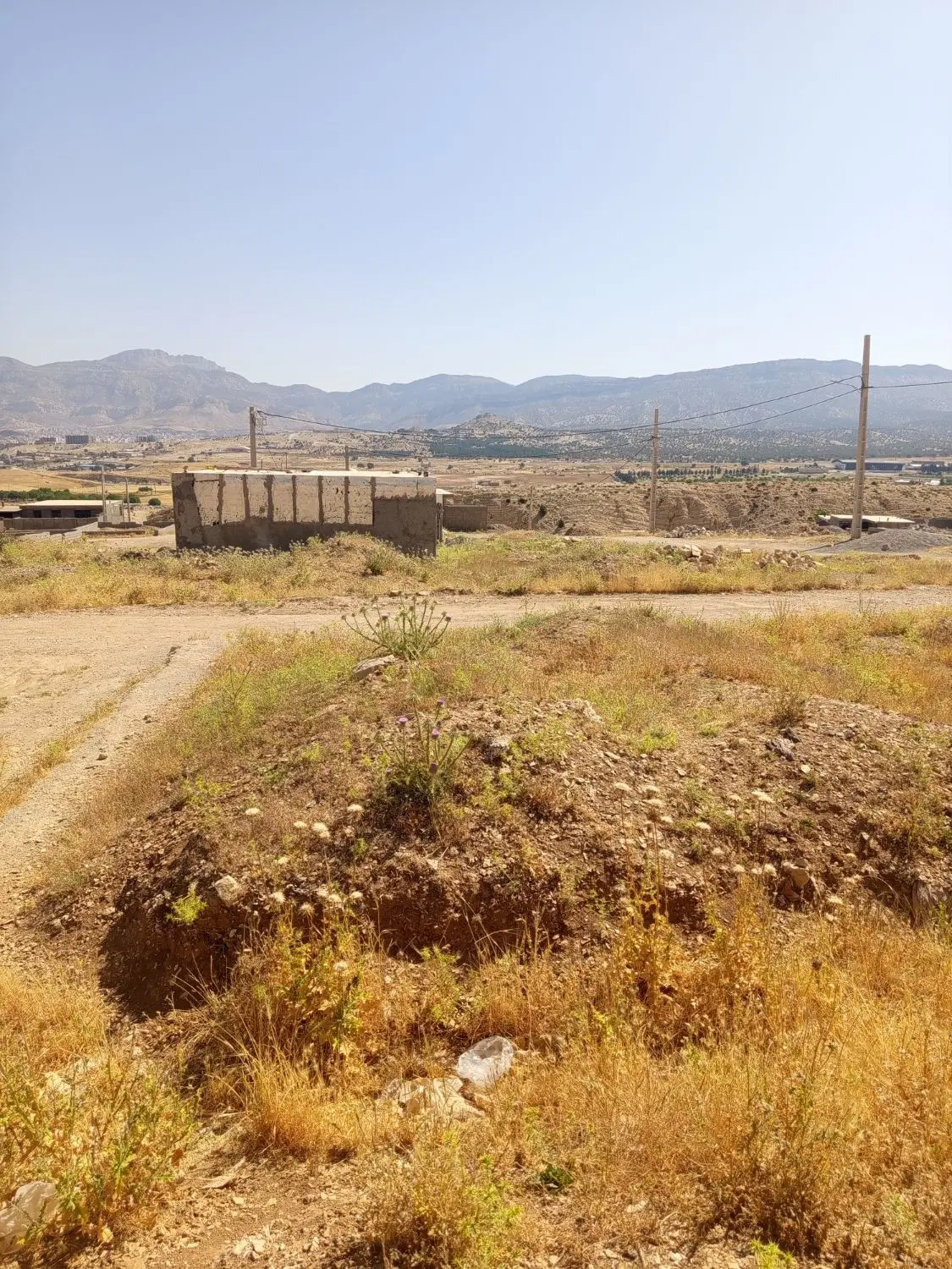 زمین سرطاف