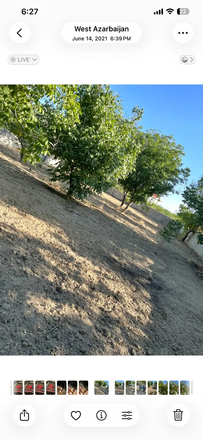 باغ امامزاده جردن