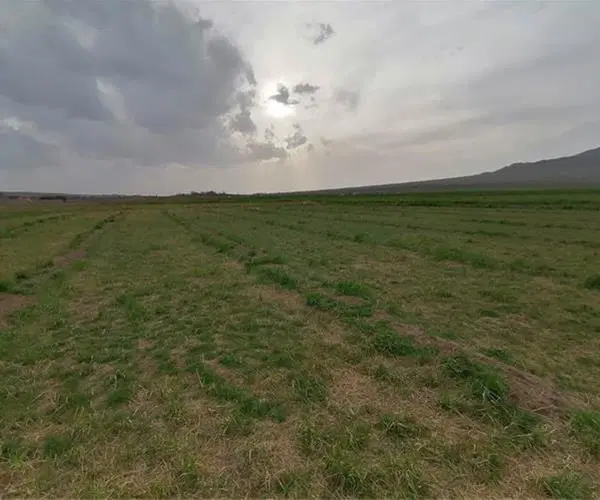 ۱۱۰متر زمین جمکران امامزاده علیرضا