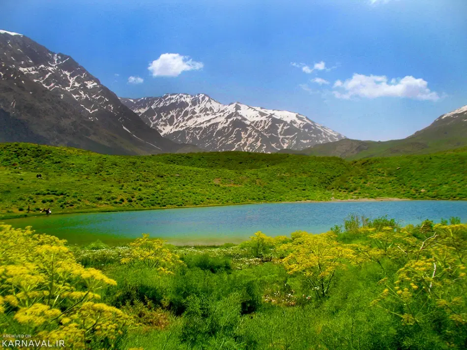 باغ انگور-سی سخت