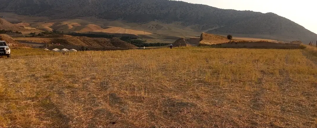زمین کشاورزی